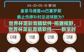世界杯足彩竞猜软件-拓展视野，世界杯足彩竞猜软件——数字时代的体育娱乐新风尚