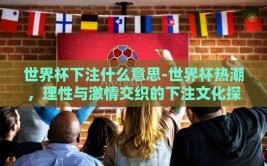 世界杯下注什么意思-世界杯热潮，理性与激情交织的下注文化探微