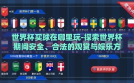 世界杯买球在哪里玩-探索世界杯期间安全、合法的观赏与娱乐方式