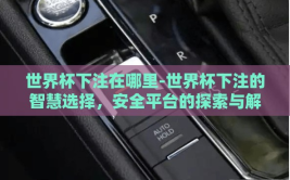 世界杯下注在哪里-世界杯下注的智慧选择，安全平台的探索与解析