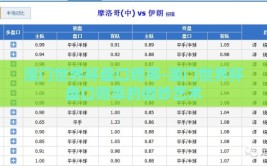 澳门世界杯盘口赔率-澳门世界杯盘口赔率的微妙艺术