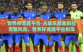 世界杯竞猜平台-从娱乐新宠到社交新风尚，世界杯竞猜平台的深度解析与体验分享
