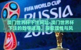 澳门世界杯下注网址-澳门世界杯下注的数字迷局，探索理性与风险