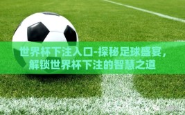 世界杯下注入口-探秘足球盛宴，解锁世界杯下注的智慧之道
