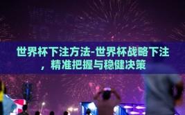 世界杯下注方法-世界杯战略下注，精准把握与稳健决策