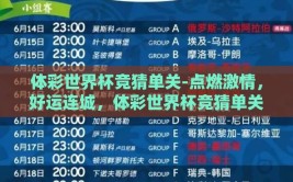 体彩世界杯竞猜单关-点燃激情，好运连城，体彩世界杯竞猜单关的魅力