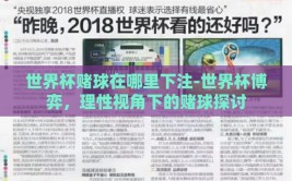 世界杯赌球在哪里下注-世界杯博弈，理性视角下的赌球探讨