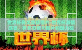 世界杯有奖竞猜图片-世界杯激情盛宴，有奖竞猜与图片的魅力碰撞