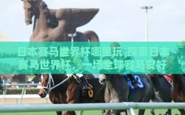 日本赛马世界杯哪里玩-探索日本赛马世界杯，一场全球赛马爱好者盛宴的精彩之地