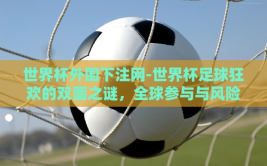 世界杯外围下注网-世界杯足球狂欢的双面之谜，全球参与与风险考量