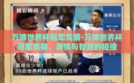万博世界杯冠军竞猜-万博世界杯冠军竞猜，激情与智慧的碰撞