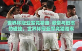 世界杯冠亚军竞猜赔-激情与概率的碰撞，世界杯冠亚军竞猜赔率探讨