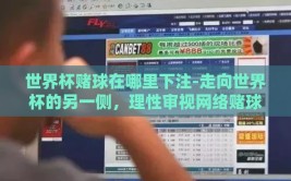 世界杯赌球在哪里下注-走向世界杯的另一侧，理性审视网络赌球的潜在风险