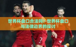 世界杯盘口合法吗?-世界杯盘口与法律边界的探讨