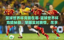 篮球世界杯竞猜在哪-篮球世界杯竞猜秘籍，掌握实时赛情，尽享赛事盛宴