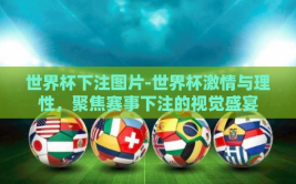 世界杯下注图片-世界杯激情与理性，聚焦赛事下注的视觉盛宴