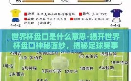 世界杯盘口是什么意思-揭开世界杯盘口神秘面纱，揭秘足球赛事中的赌注地图