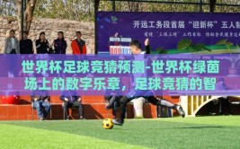 世界杯足球竞猜预测-世界杯绿茵场上的数字乐章，足球竞猜的智慧与激情