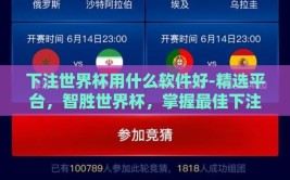 下注世界杯用什么软件好-精选平台，智胜世界杯，掌握最佳下注软件的挑选之道