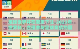 足球世界杯在哪里下注-2023年世界杯，合理参与足球竞猜的国家法规