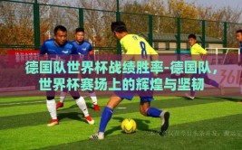德国队世界杯战绩胜率-德国队，世界杯赛场上的辉煌与坚韧