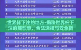 世界杯下注的地方-揭秘世界杯下注的那些事，合法选择与安全指南