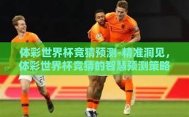 体彩世界杯竞猜预测-精准洞见，体彩世界杯竞猜的智慧预测策略