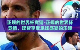 正规的世界杯竞猜-正规的世界杯竞猜，理智享受足球盛宴的乐趣