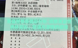 男篮世界杯竞彩分析-洞悉男篮世界杯竞彩，智谋与激情的碰撞