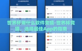 世界杯用什么软件竞猜-世界杯竞猜，选择最佳App的指南