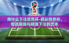 用什么下注世界杯-精彩世界杯，智选策略与精准下注的艺术