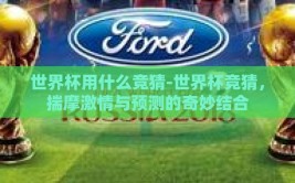 世界杯用什么竞猜-世界杯竞猜，揣摩激情与预测的奇妙结合