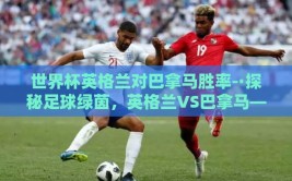 世界杯英格兰对巴拿马胜率-·探秘足球绿茵，英格兰VS巴拿马——世界杯对决的悬念与期待
