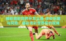 体彩竞彩世界杯怎么看-体会乐趣与风险，体彩竞彩世界杯的视角探索