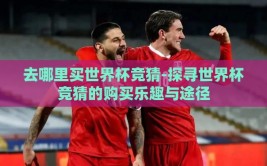 去哪里买世界杯竞猜-探寻世界杯竞猜的购买乐趣与途径