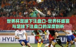 世界杯足球下注盘口-世界杯盛宴与足球下注盘口的深度剖析