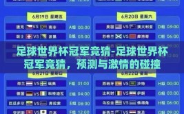 足球世界杯冠军竞猜-足球世界杯冠军竞猜，预测与激情的碰撞