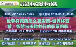 世界杯竞猜怎么买彩票-世界杯竞猜，智慧与乐趣并行的彩票购彩指南