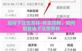 如何下注世界杯-夯实攻略，如何明智地下注世界杯