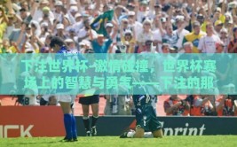 下注世界杯-激情碰撞，世界杯赛场上的智慧与勇气——下注的那些精彩瞬间