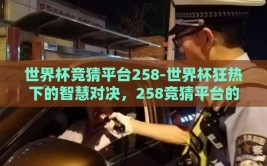 世界杯竞猜平台258-世界杯狂热下的智慧对决，258竞猜平台的多维体验