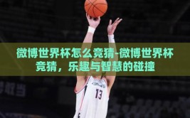 微博世界杯怎么竞猜-微博世界杯竞猜，乐趣与智慧的碰撞