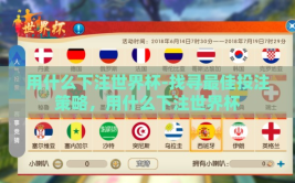 用什么下注世界杯-找寻最佳投注策略，用什么下注世界杯