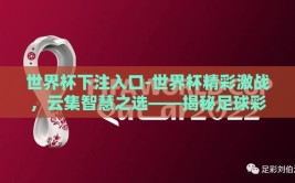 世界杯下注入口-世界杯精彩激战，云集智慧之选——揭秘足球彩票下注的正确途径