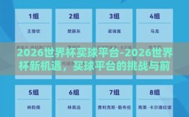 2026世界杯买球平台-2026世界杯新机遇，买球平台的挑战与前景
