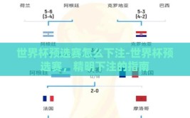 世界杯预选赛怎么下注-世界杯预选赛，精明下注的指南