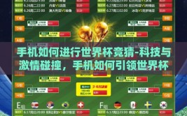 手机如何进行世界杯竞猜-科技与激情碰撞，手机如何引领世界杯竞猜新风尚