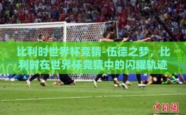 比利时世界杯竞猜-伍德之梦，比利时在世界杯竞猜中的闪耀轨迹