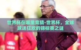 世界杯在哪里竞猜-世界杯，全球球迷狂欢的锦标赛之谜