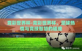 竞彩世界杯-竞彩世界杯，足球热情与竞技智慧的碰撞